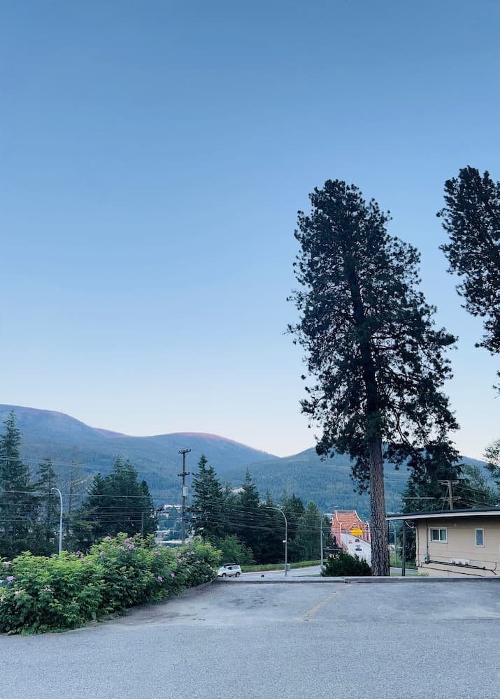 View from property