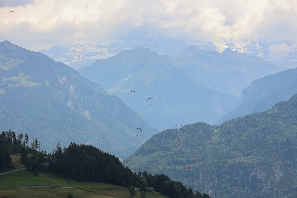 View from property