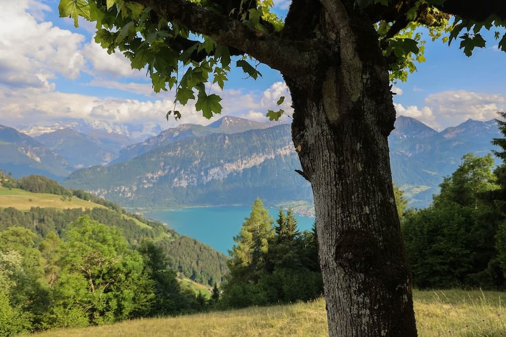 View from property