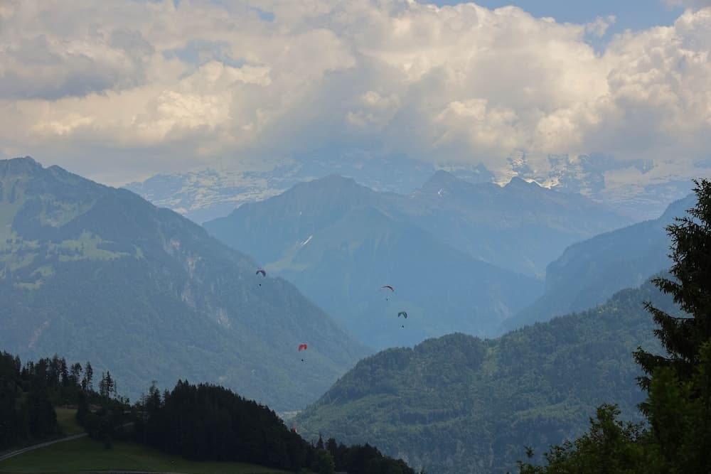 View from property