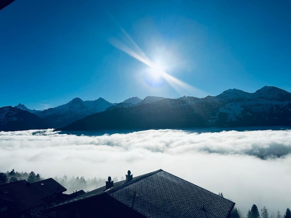 View from property