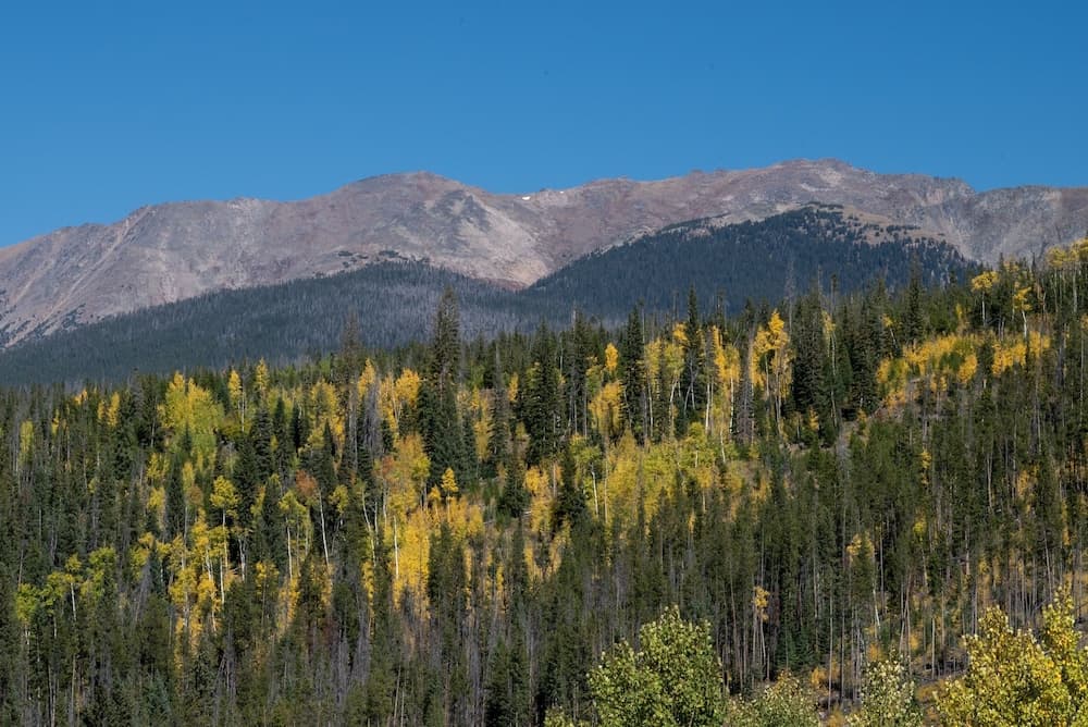 Mountain view