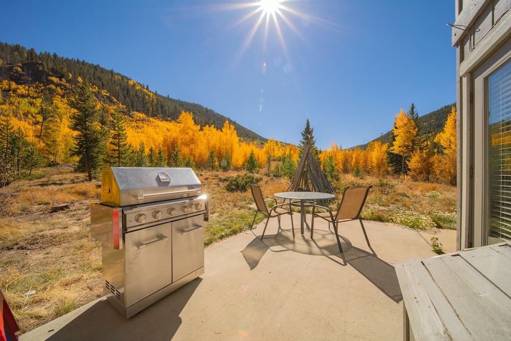 BBQ/picnic area