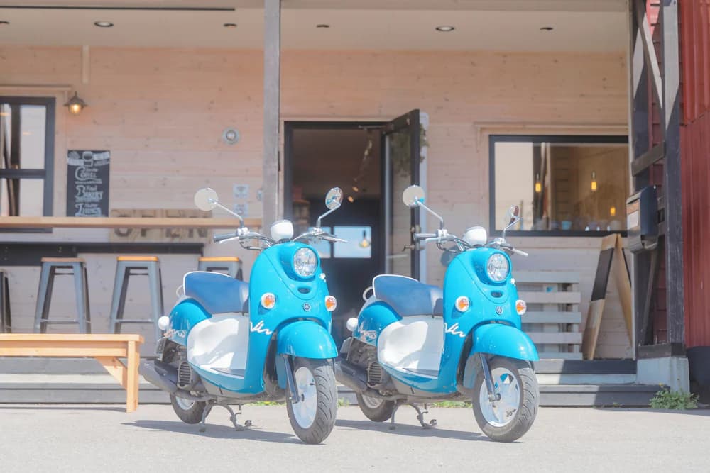 Scooter/moped