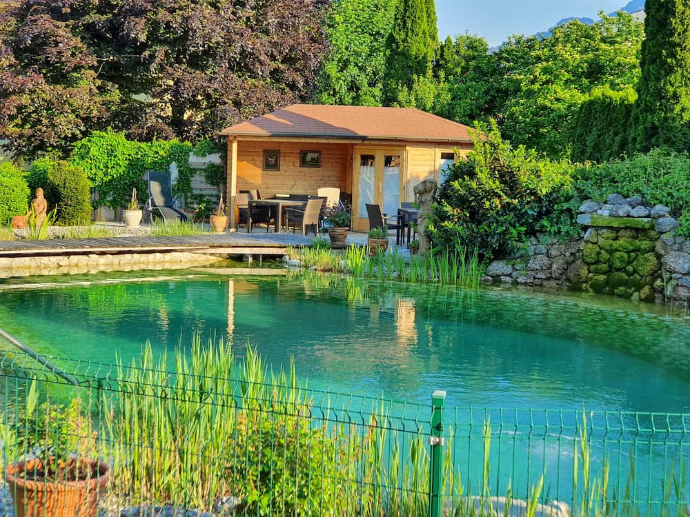 Natural pool