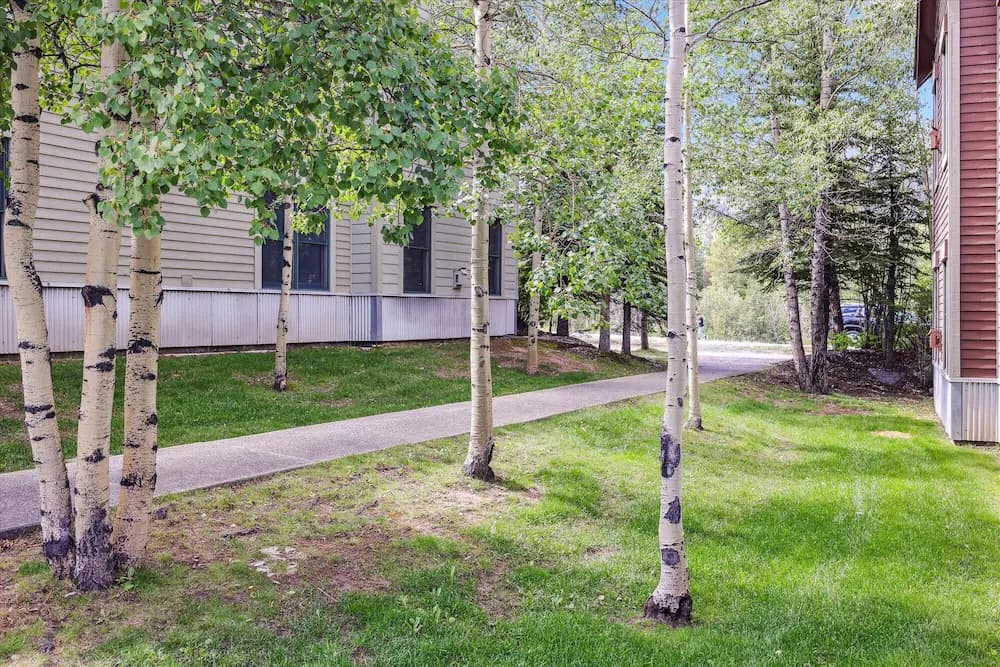 Property grounds