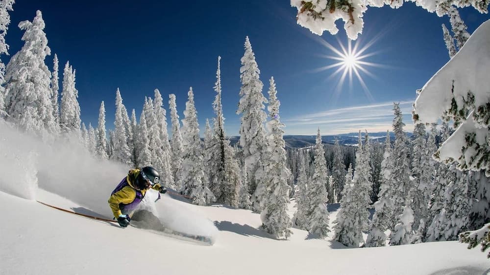 Skiing