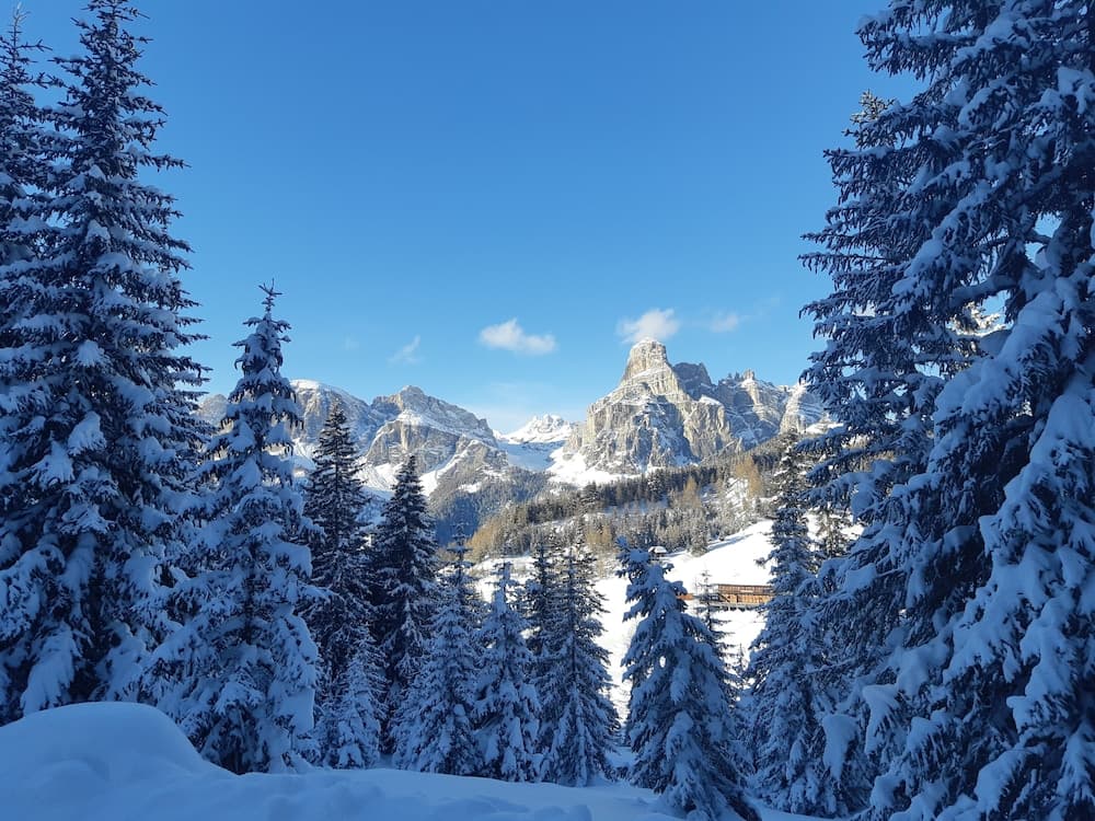 Snowshoeing