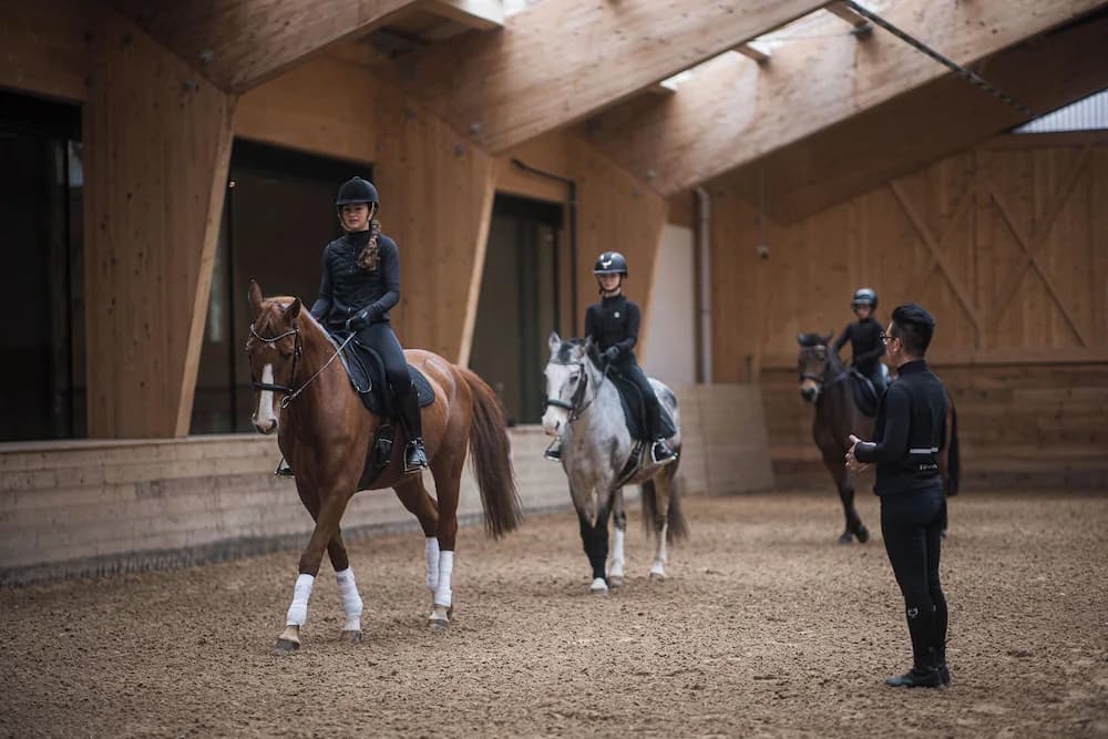 Horseback riding