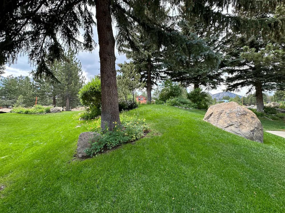 Property grounds