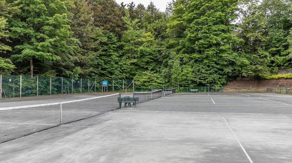 Sport court