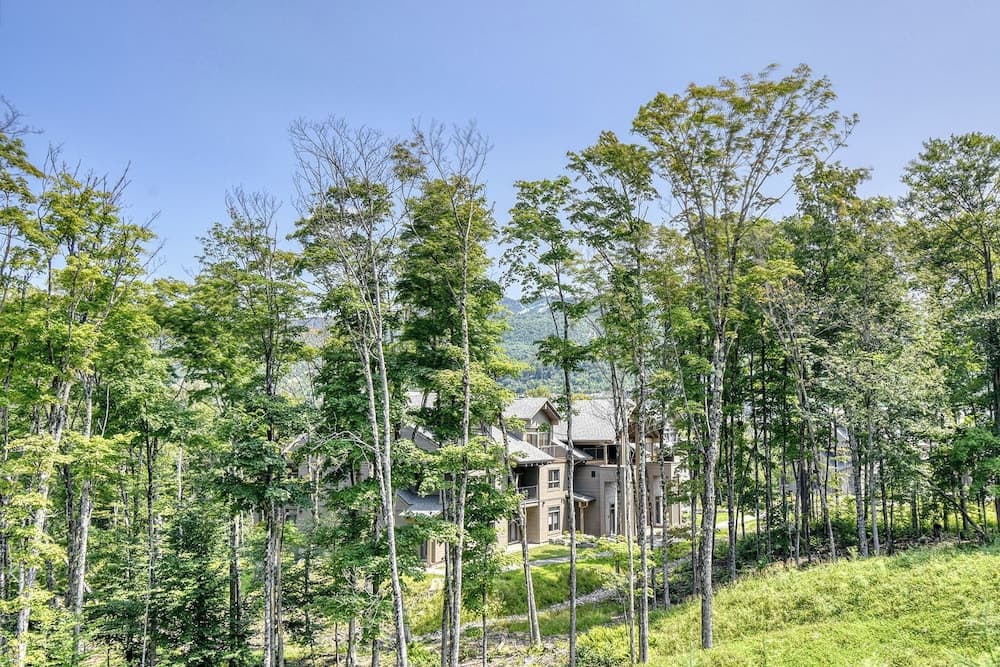 View from property