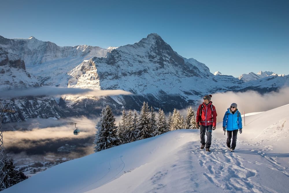 Snowshoeing