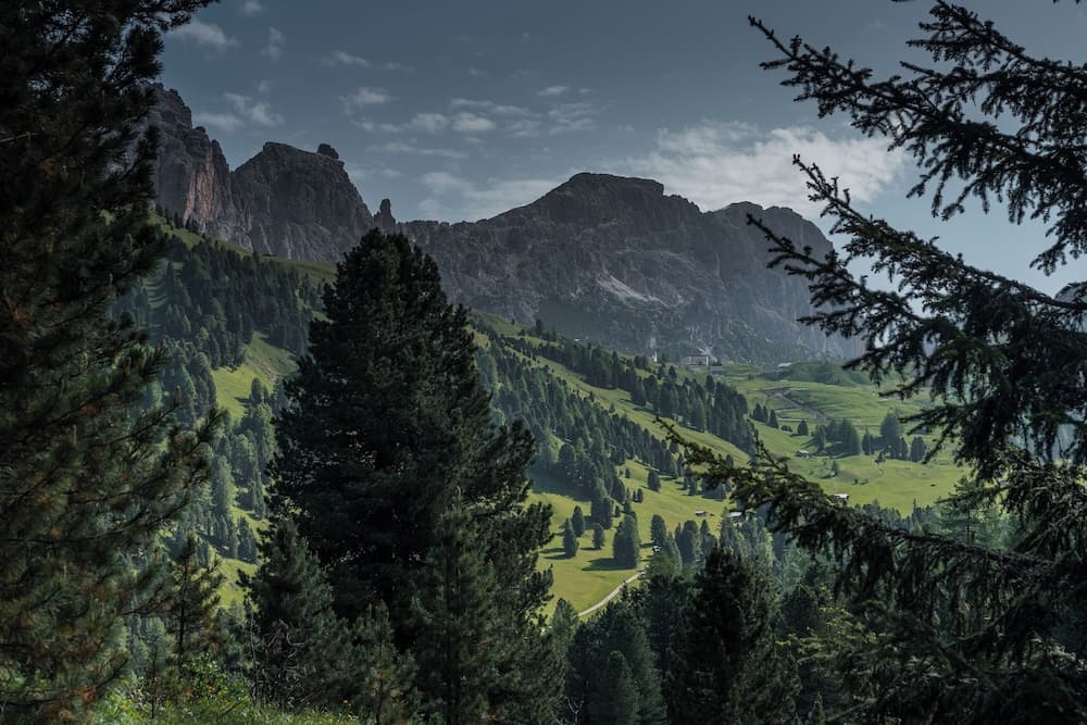 Mountain view