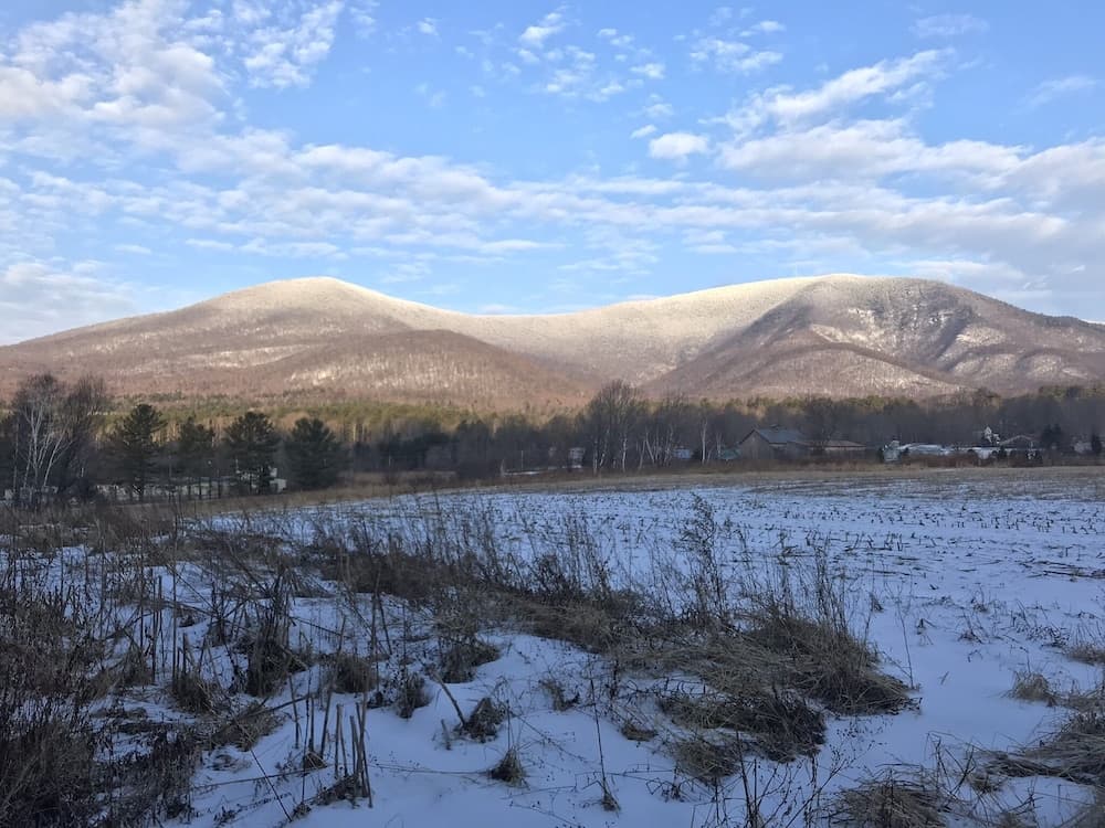 Land view from property