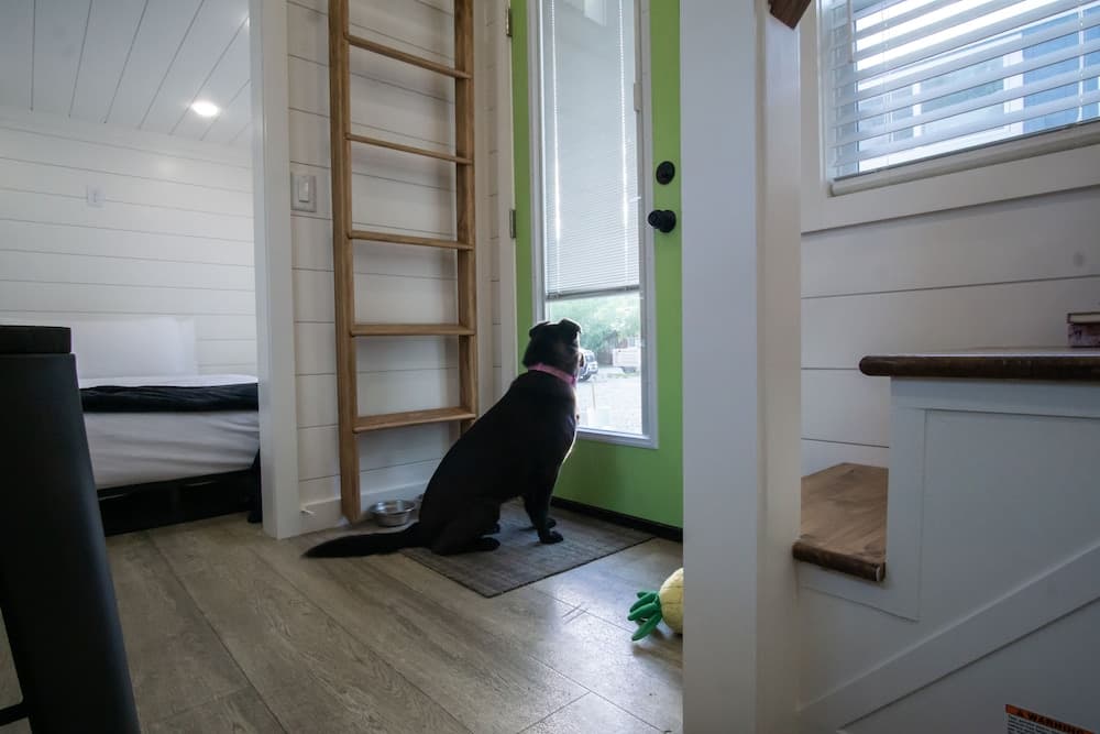 Pet-friendly