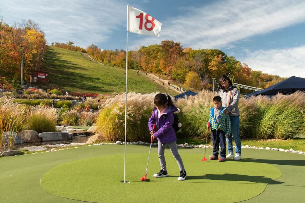 Mini-golf