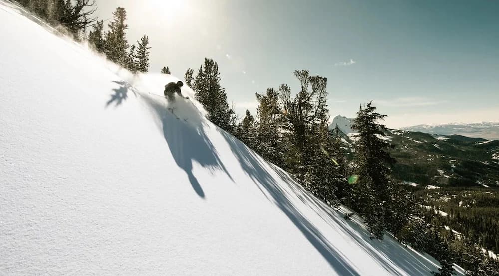 Skiing