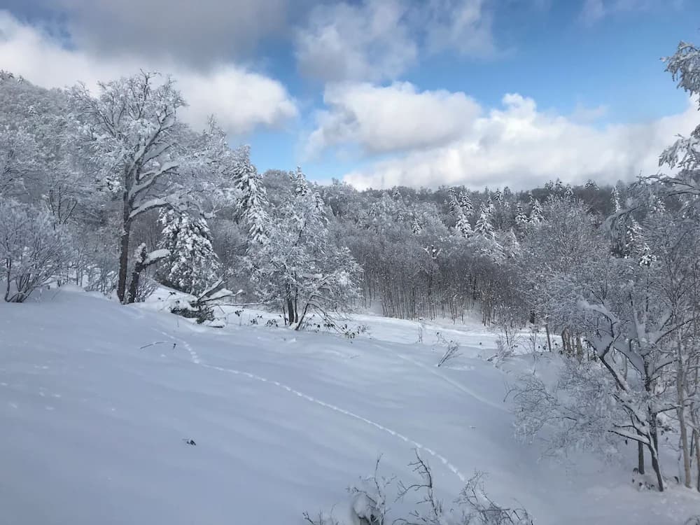 Snow and ski sports