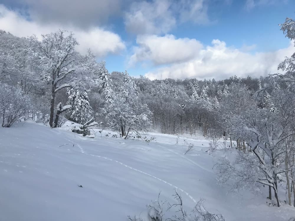 Snow and ski sports