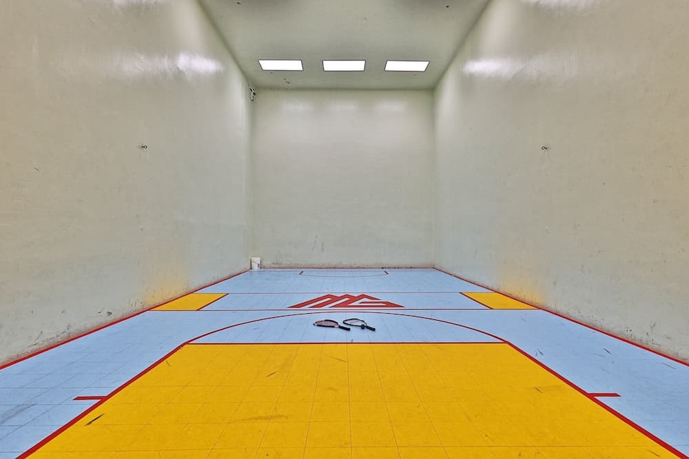 Sport court