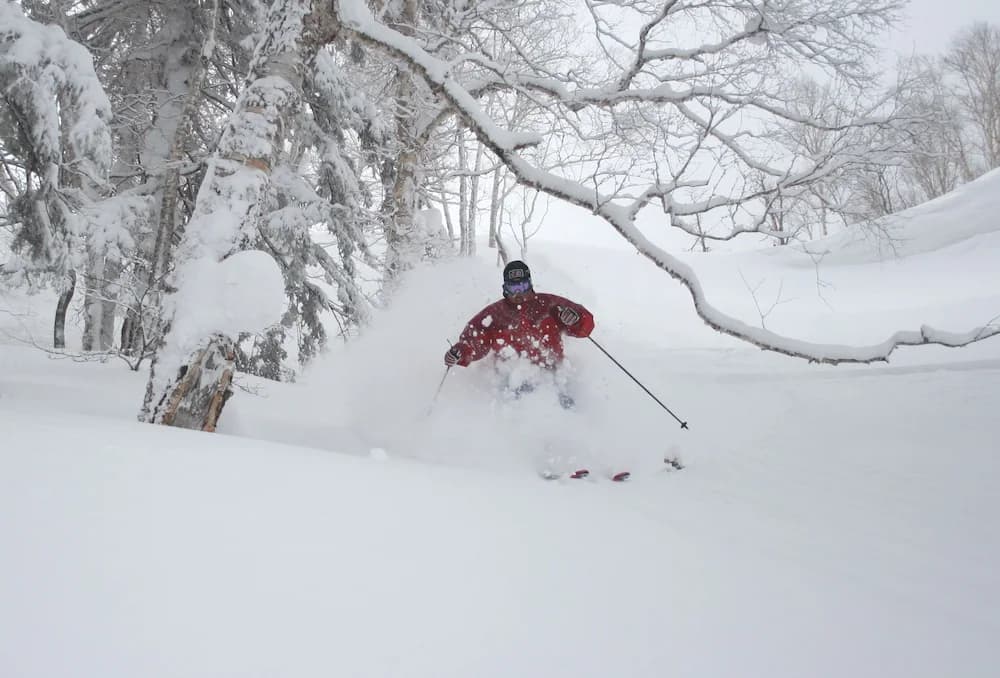 Skiing