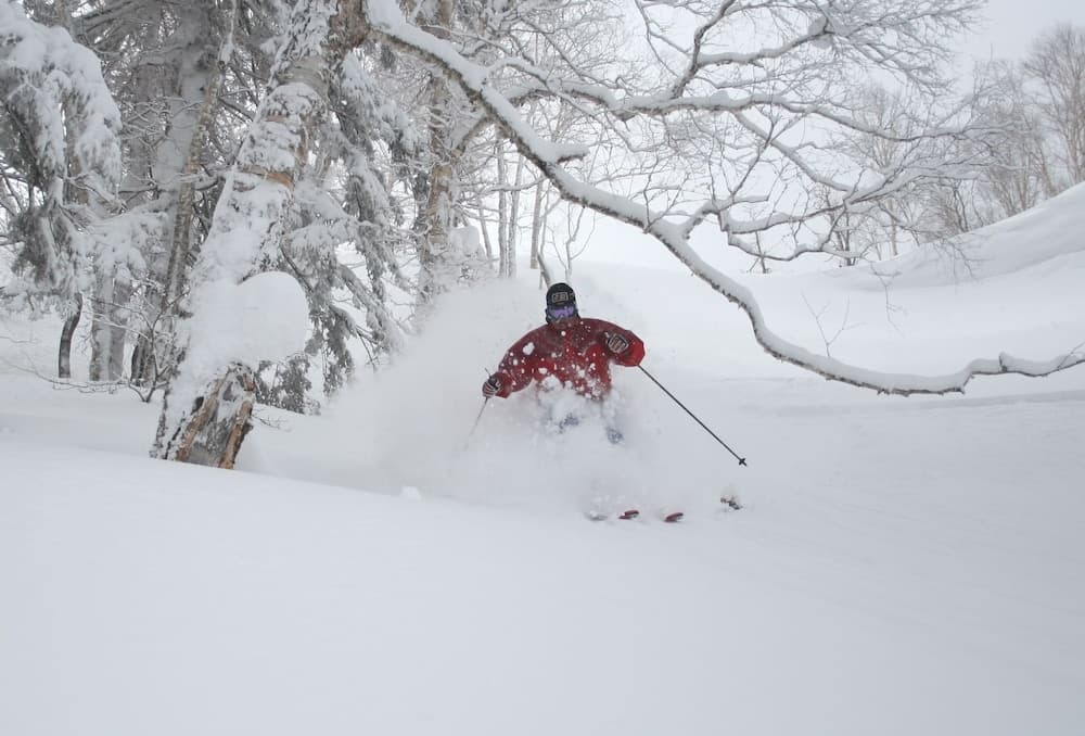 Skiing