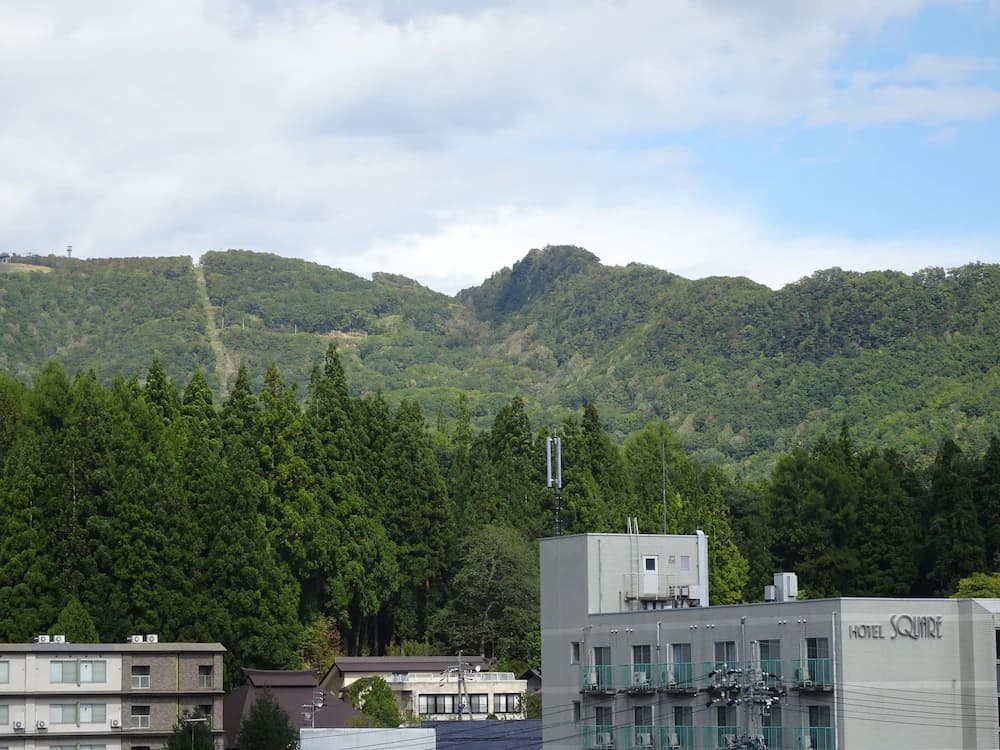 View from property