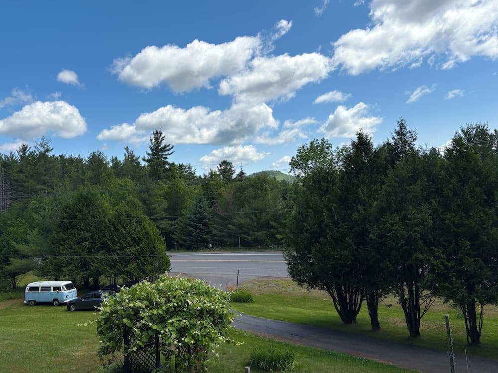 View from room
