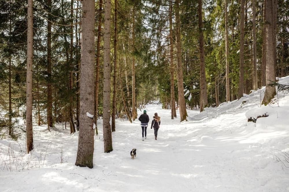 Snow and ski sports