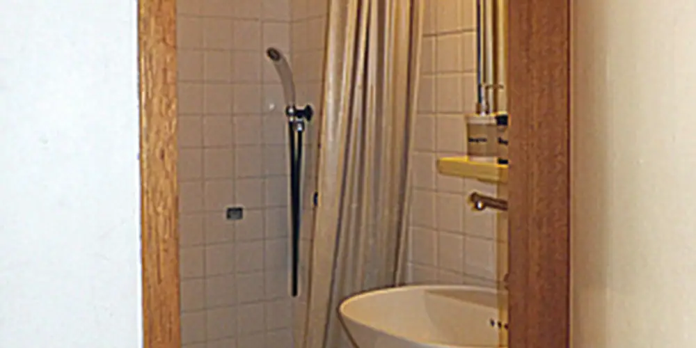 Bathroom shower