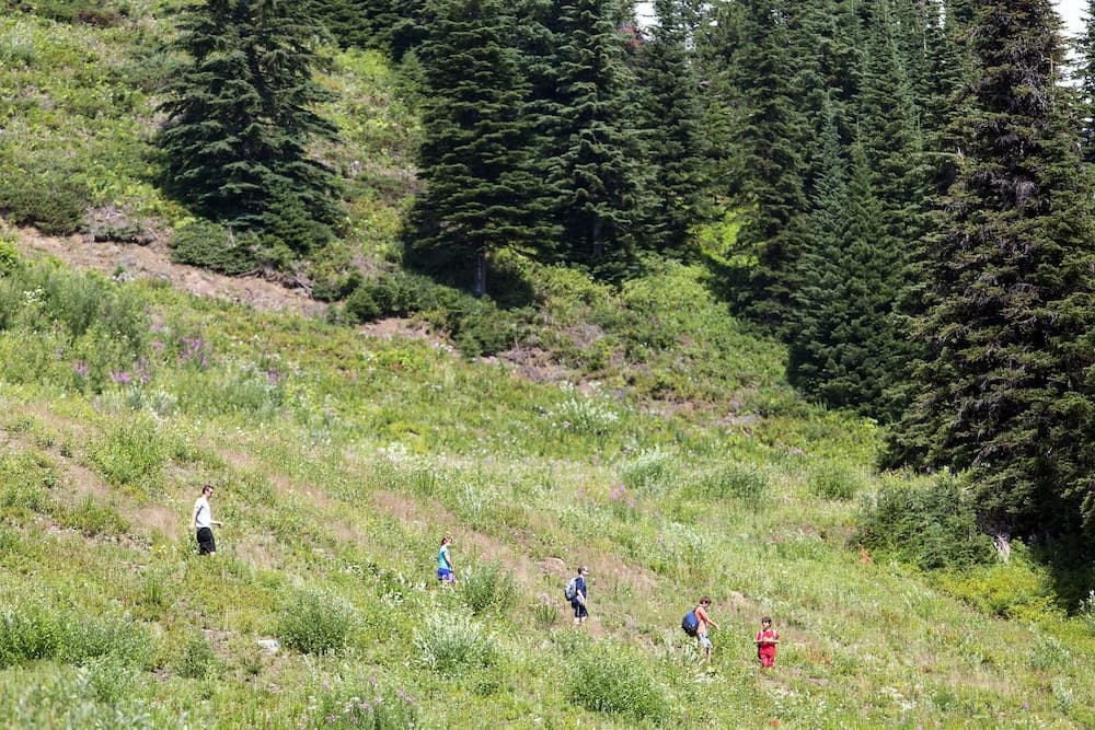 Hiking