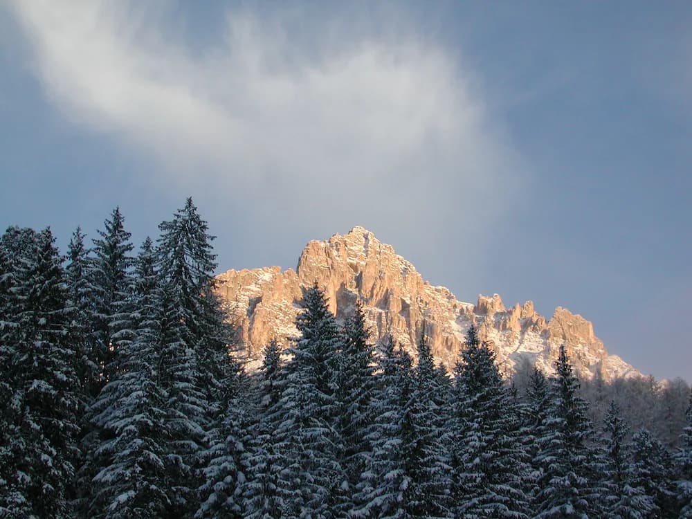 Snowshoeing