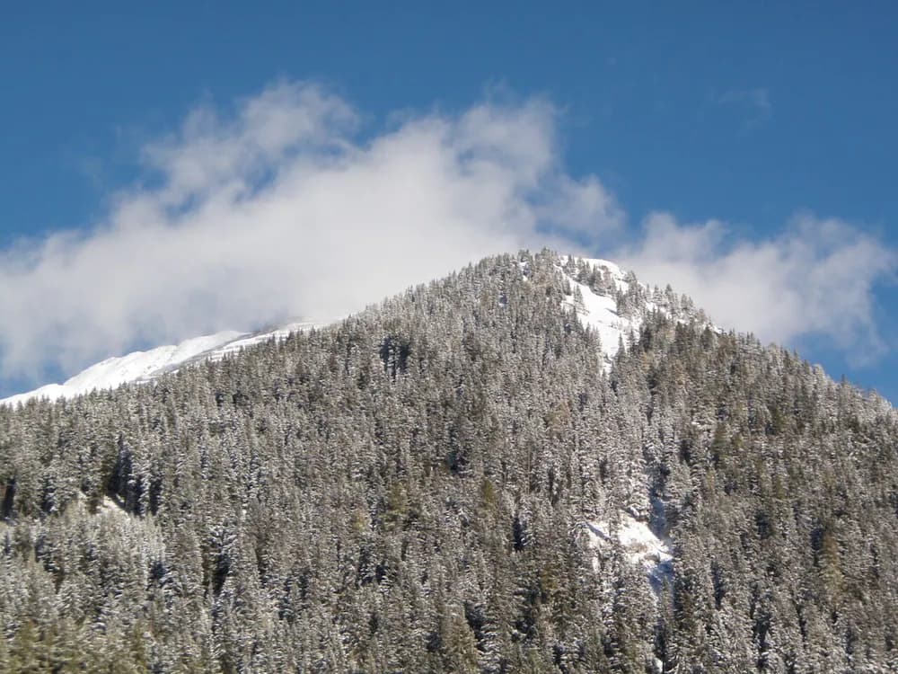 Mountain view
