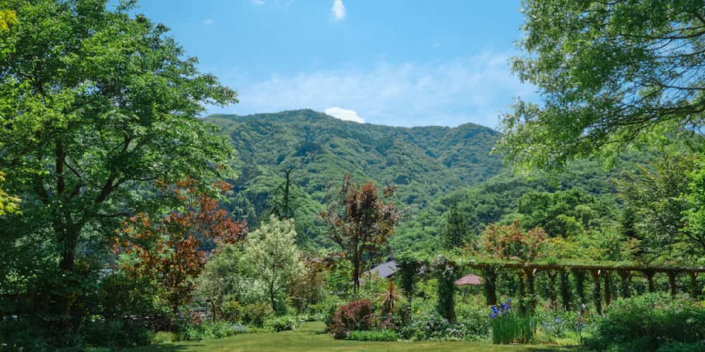 Garden view
