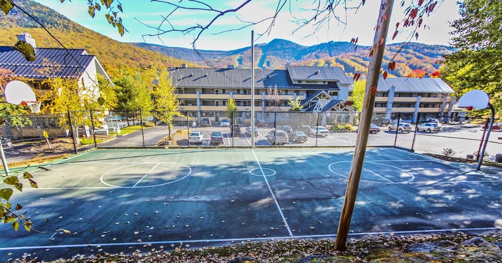 Basketball court