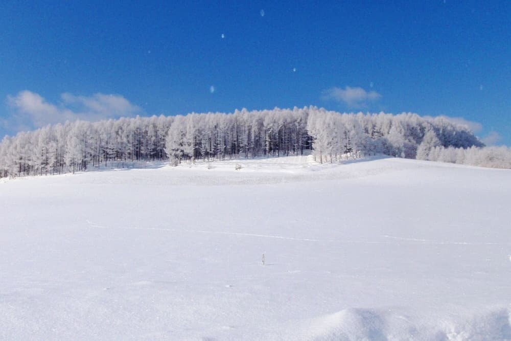 Snowshoeing