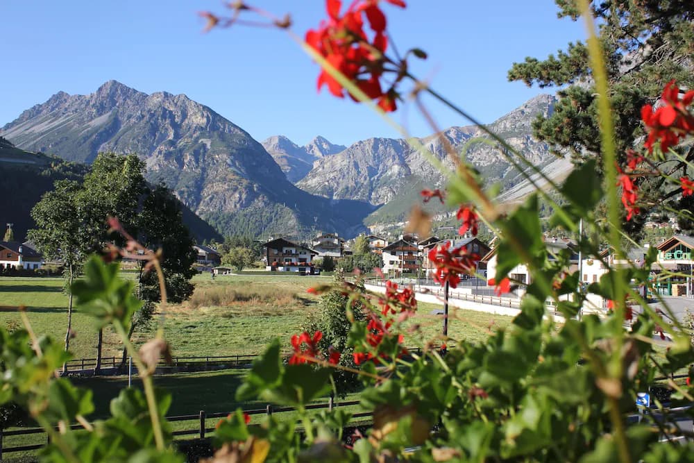 Mountain view