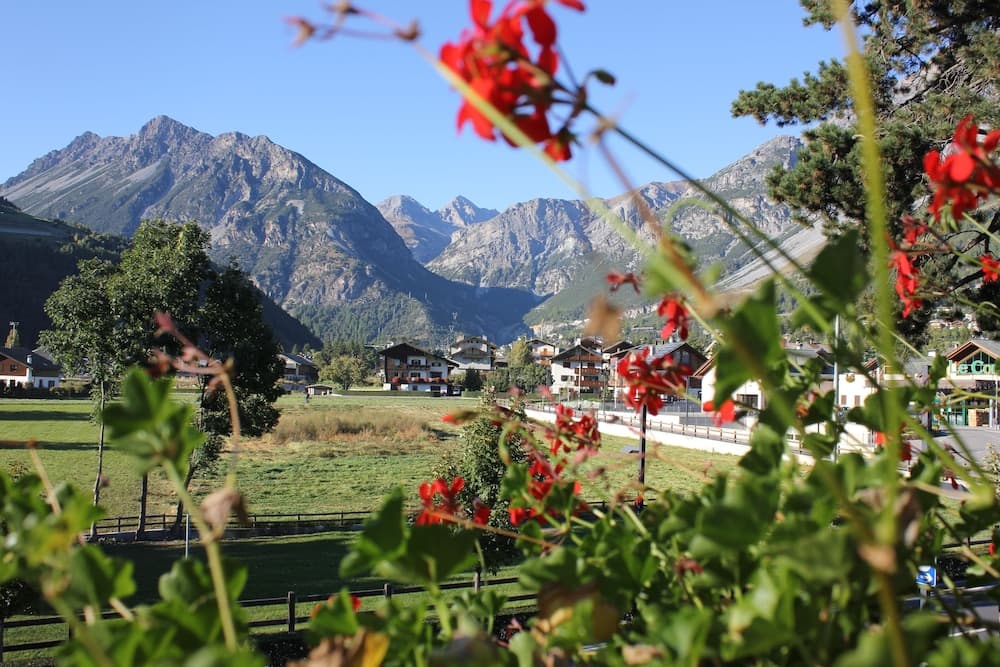 Mountain view