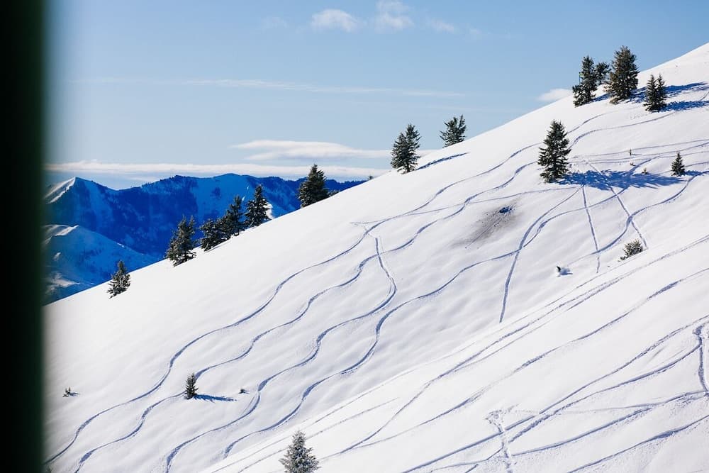 Skiing