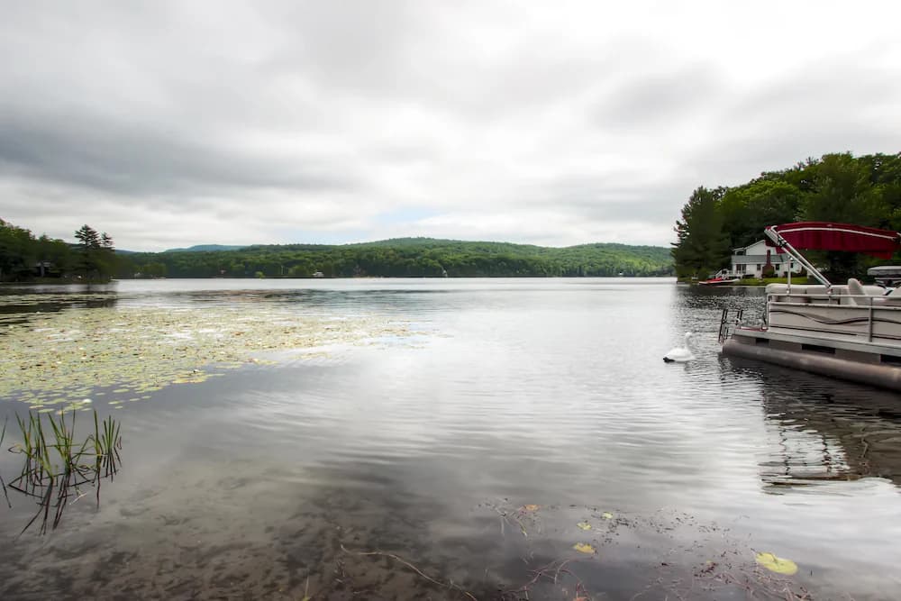 Lake view