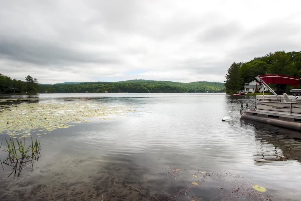 Lake view