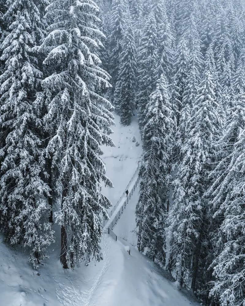 Snowshoeing