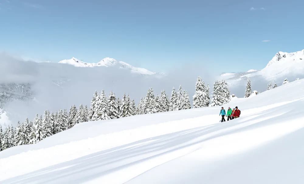 Snowshoeing