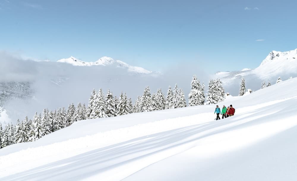 Snowshoeing