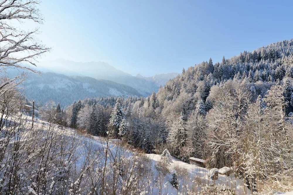 Mountain view