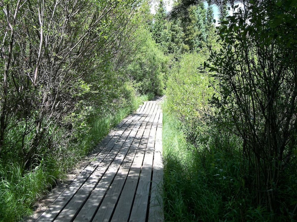 Hiking