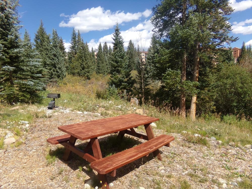 BBQ/picnic area