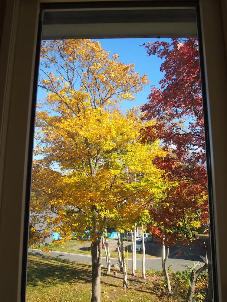 View from property