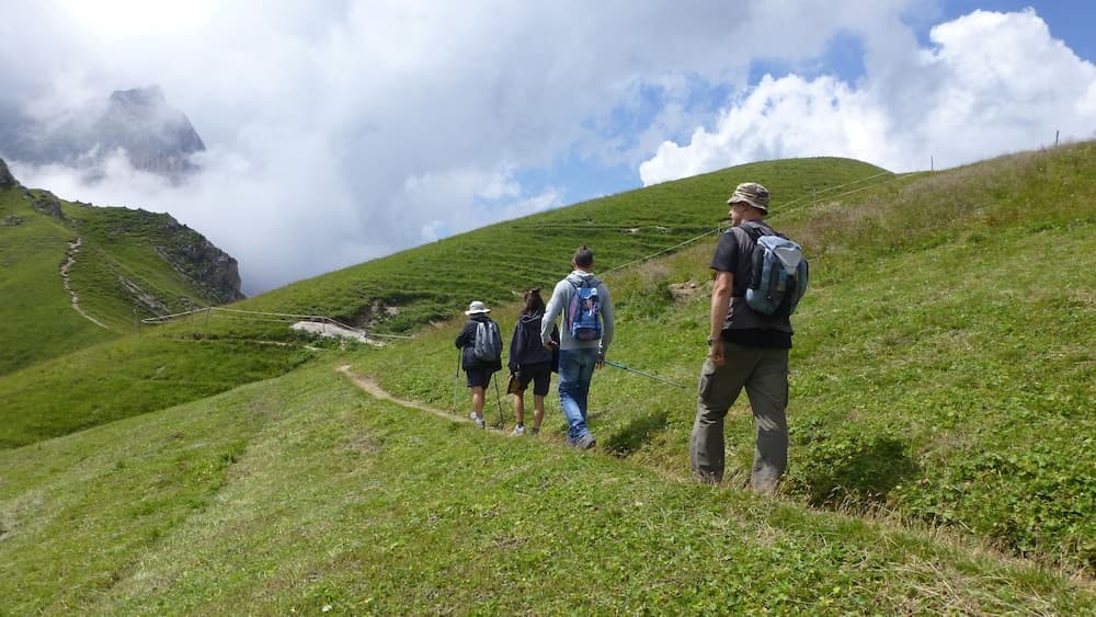 Hiking